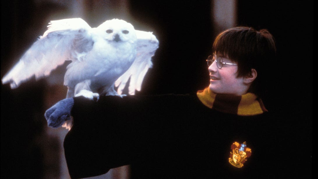 Daniel Radcliffe, Harry Potter and the Sorcerer's Stone